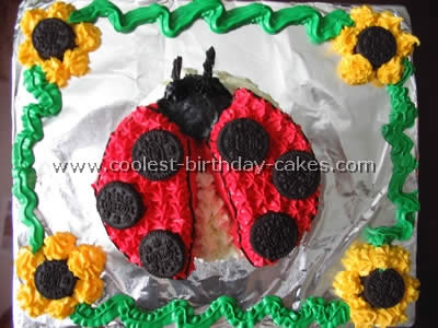 Homemade Ladybug Birthday Cake