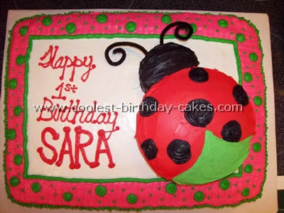 Homemade Ladybug Birthday Cake