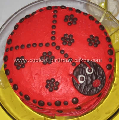 Coolest Ladybug Birthday Cakes