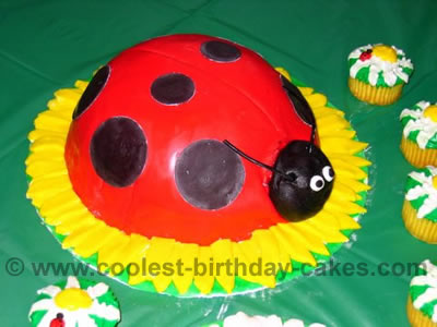 Ladybug Cake Photo