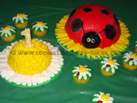 Ladybug Cake Photo