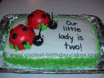 Ladybug Cake Photo