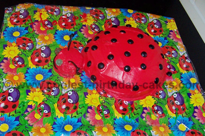 Ladybug Cake Photo