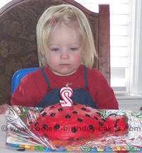 Ladybug Cake Photo