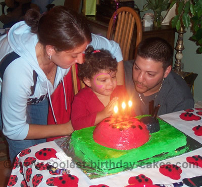 Ladybug Cake Photo