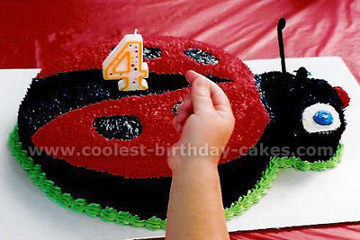 Ladybug Cake Photo