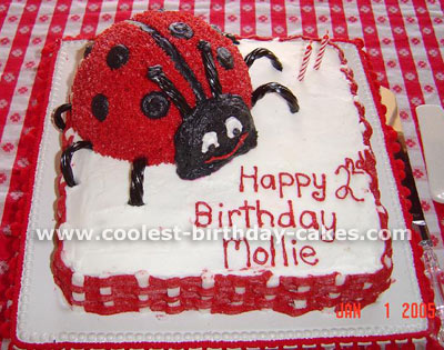 Ladybug Cake Photo