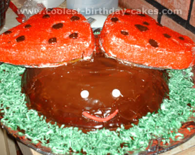 Ladybug Cake Photo