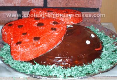 Ladybug Cake Photo