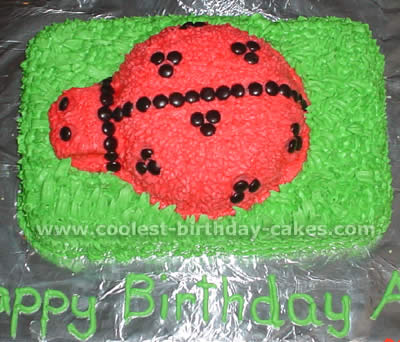 Ladybug Cake Photo