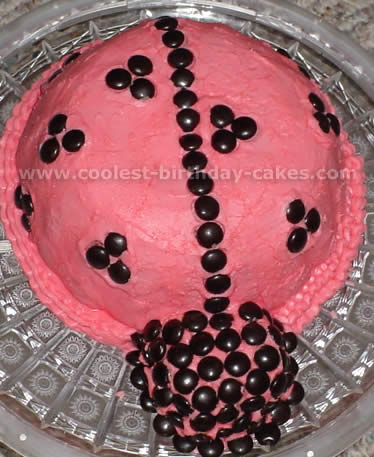 Ladybug Cake Photo