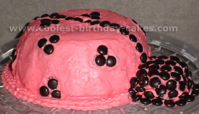 Ladybug Cake Photo