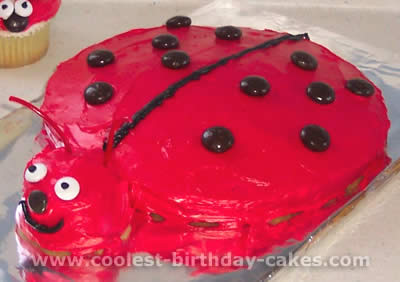 Ladybug Cake Photo