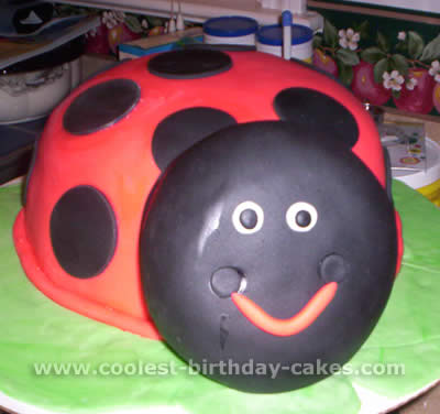 Ladybug Cake Photo