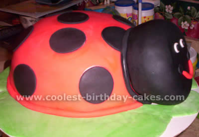 Ladybug Cake Photo