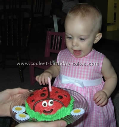 Coolest Ladybug Cake Photos and How-To Tips