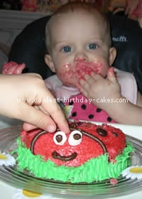 Ladybug Cake Photo