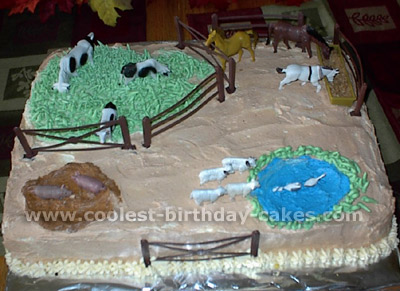 Barnyard Birthday Cake Photo