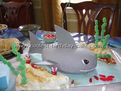 Shark Picture Birthday Cake