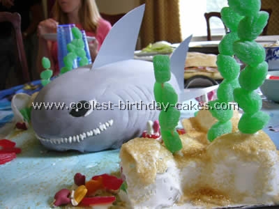 Shark Picture Birthday Cake