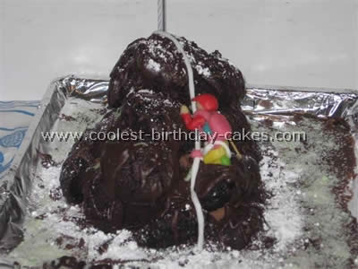 Mountain and Rock Climbing Cake