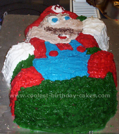 Super Mario Brother Cake Photo