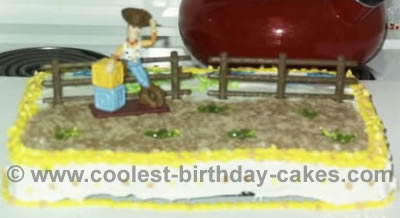 Toy Story Cake Photo