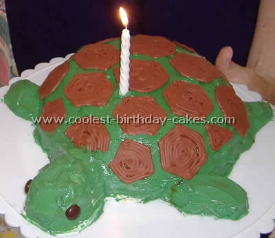 Turtle Cakes