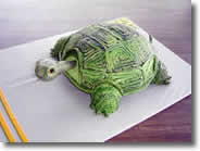 Turtle Birthday Cake Picture