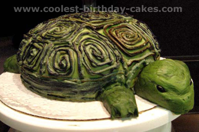 Turtle Birthday Cake Picture