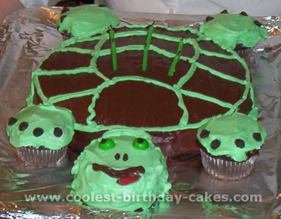 Turtle Birthday Cake Picture