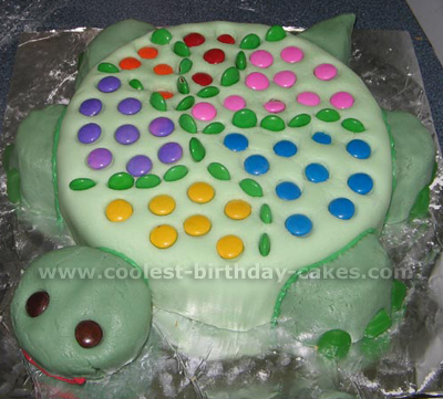 Turtle Birthday Cake Picture