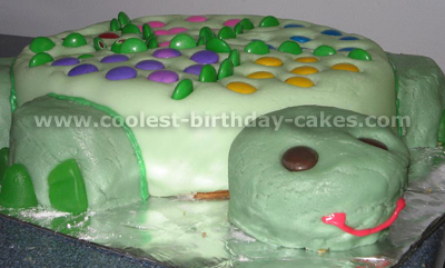 Turtle Birthday Cake Picture