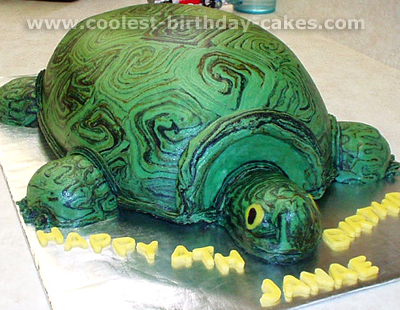 Turtle Birthday Cake Picture