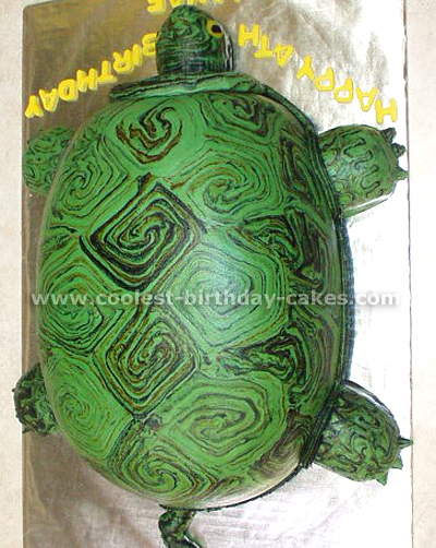 Turtle Birthday Cake Picture