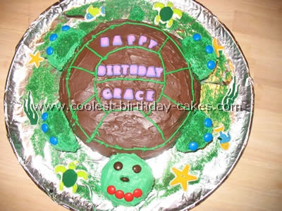 Turtle Birthday Cake Picture