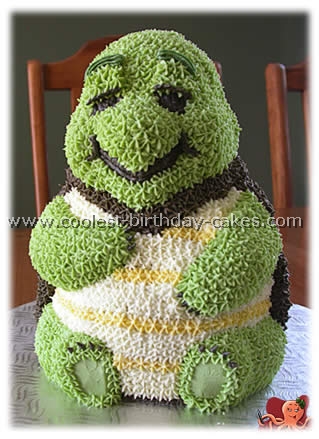 Turtle Birthday Cake Picture