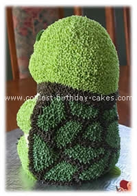 Turtle Birthday Cake Picture