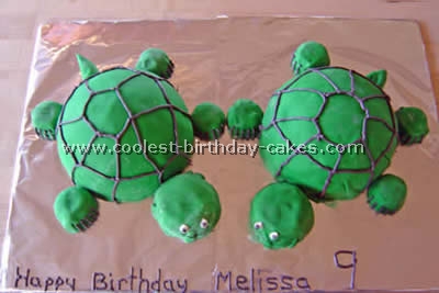 Turtle Birthday Cake Picture