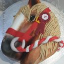 Beautiful pony head cake