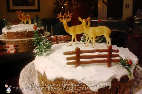 2 in 1 Christmas Cake