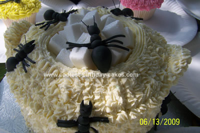 Coolest Ants Cake and Cupcakes