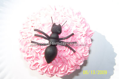 Coolest Ants Cake and Cupcakes