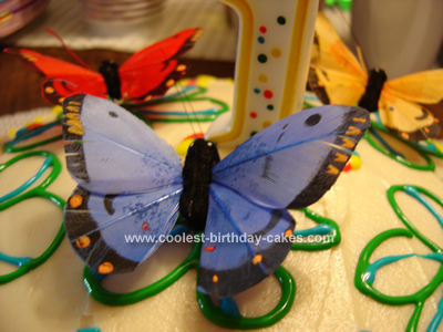 Sweet Homemade Butterfly Cake for a 1st Birthday