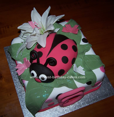 Coolest Ladybug Birthday Cake