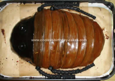 Coolest Roach Cake