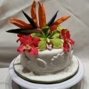Coolest Orchid Cake--Tropical Delight